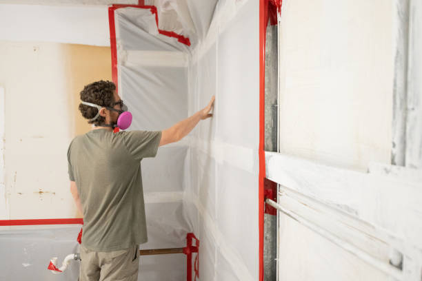 Biohazard Mold Removal in Geronimo, OK